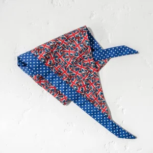 Clearance Union Jack Dog Bandana Dog Accessories