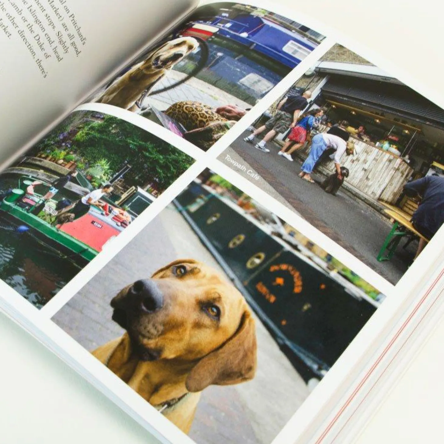 london_for_dogs_book_1.webp Best Sale London For Dogs Book Books About London | Dog Accessories